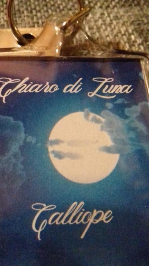 Apartamento Chiaro Di Luna Santa Domenica Talao Habitación foto